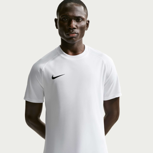 CAMISA NIKE - DF PARK VIII JSY SS - REF: HV8173100