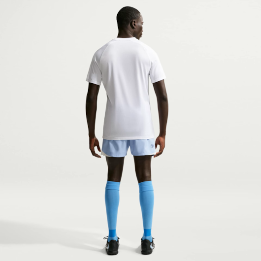 CAMISA NIKE - DF PARK VIII JSY SS - REF: HV8173100