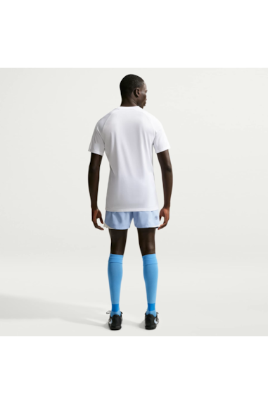CAMISA NIKE - DF PARK VIII JSY SS - REF: HV8173100